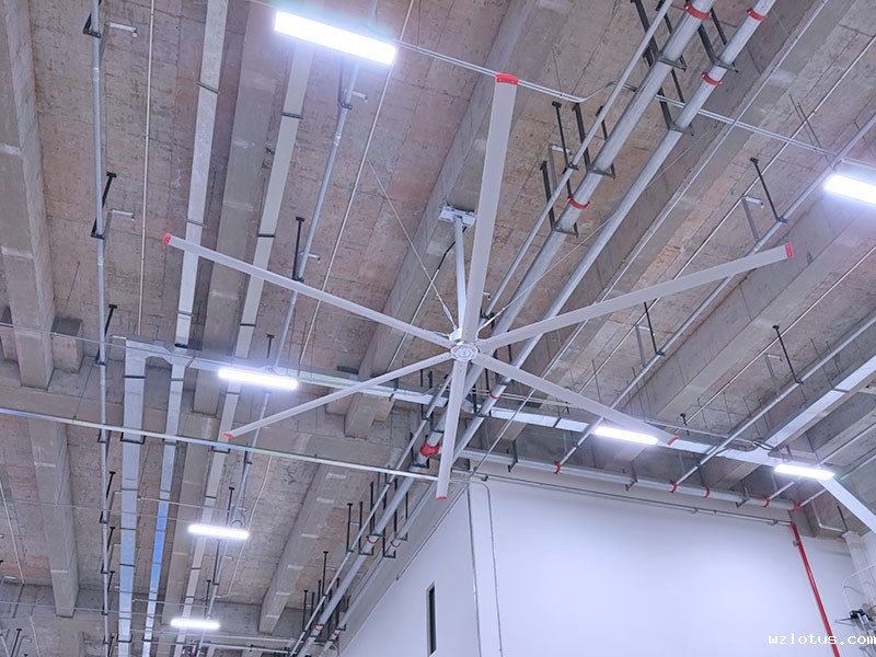 大型吊扇应用领域有哪些？